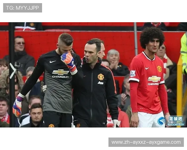 英超球员伤病情况与体育康复管理研究