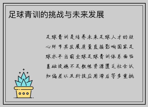 足球青训的挑战与未来发展